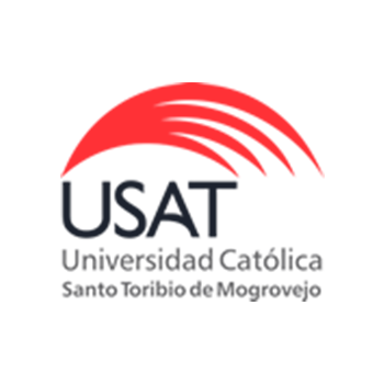 Universidad Católica Santo Toribio de MogrovejoFINAL