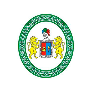 Universidad Nacional Hermilio Valdizán final